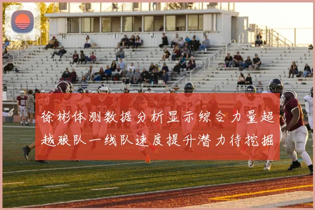 徐彬体测数据分析显示综合力量超越狼队一线队速度提升潜力待挖掘