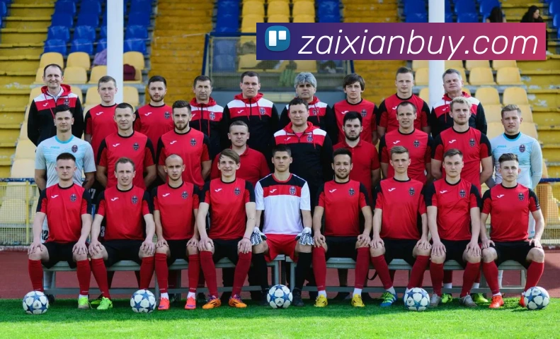 在线买球网站APP 封面图